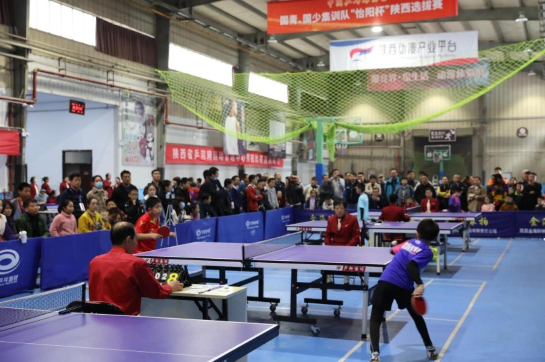 被罚款的案 被罚款的案