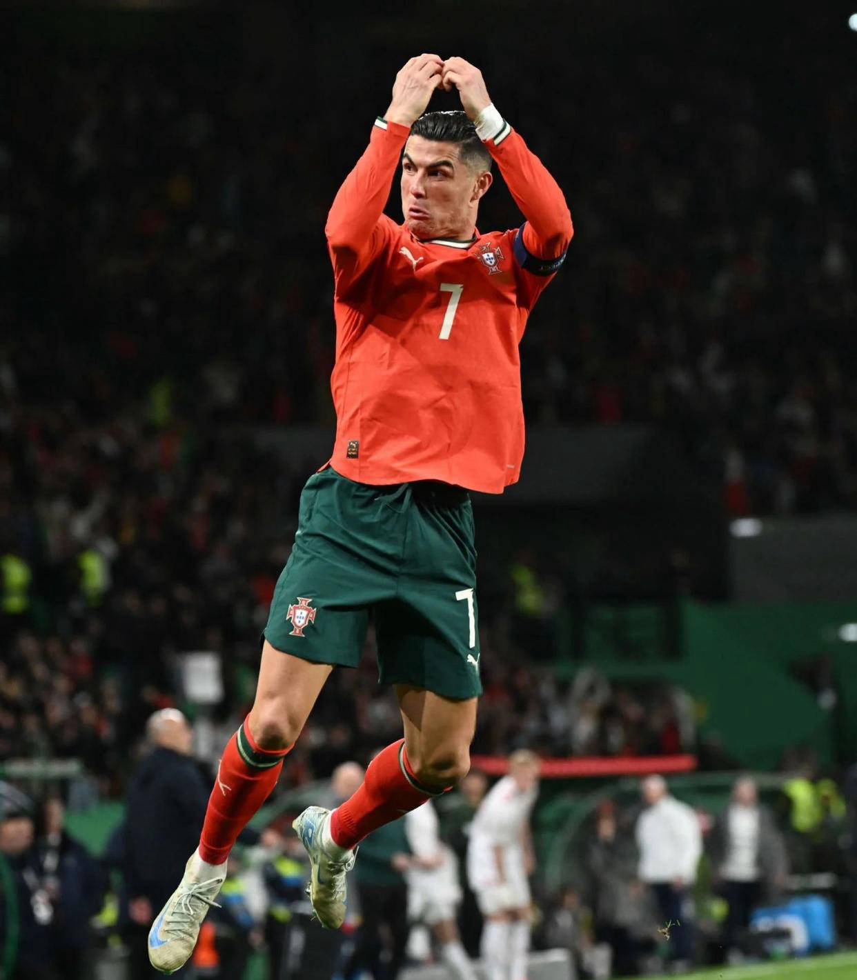 主题与判断 主题与判断